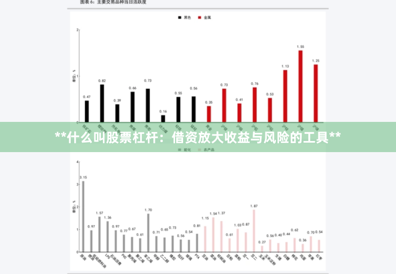 **什么叫股票杠杆：借资放大收益与风险的工具**